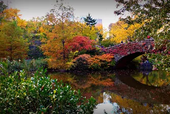 "Потапят" Central Park на 30 метра в земята?