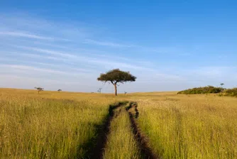 В България, на село