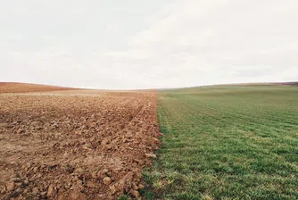 Областите с най-скъпи земеделски земи