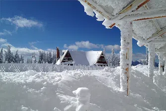 Слънчев януари