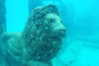 11 атракции под водата