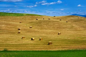 Нова голяма сделка на пазара на земеделска земя