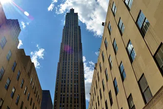 Кой и как избира коледното дърво за Rockefeller Center?