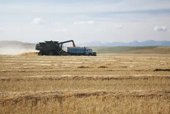 Опасенията около глобалните доставки на храни растат