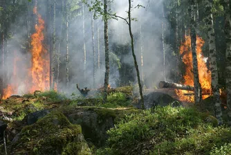 Следим и сигнализираме за пожари онлайн