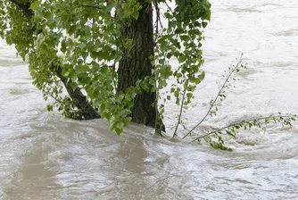 Бедствено положение в Калояново, Стряма заля и с. Трилистник