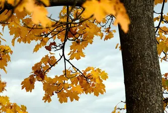 Какво време ни очаква през новата седмица