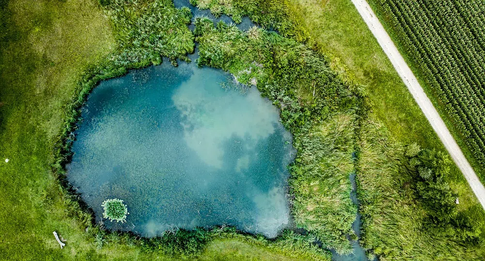 Как цяло село се издържа от едно малко езерце?