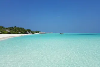 Малдивски курорт търси стажант, който да се грижи за костенурки