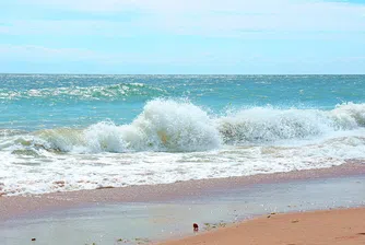 На плаж до АЕЦ. Отново туристи във водите на Фукушима