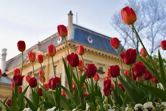 Средната продължителност на живота у нас продължава да расте