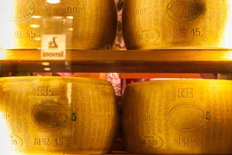 Каква е разликата между Parmigiano Reggiano и пармезан?