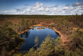 Осем неща, които можете да правите в Естония