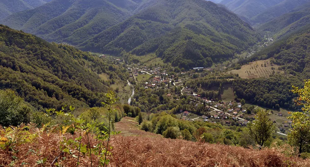 Вижте колко гори създаде България през последните 116 години