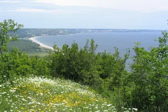 Осем любопитни факта за най-малкия природен парк в България