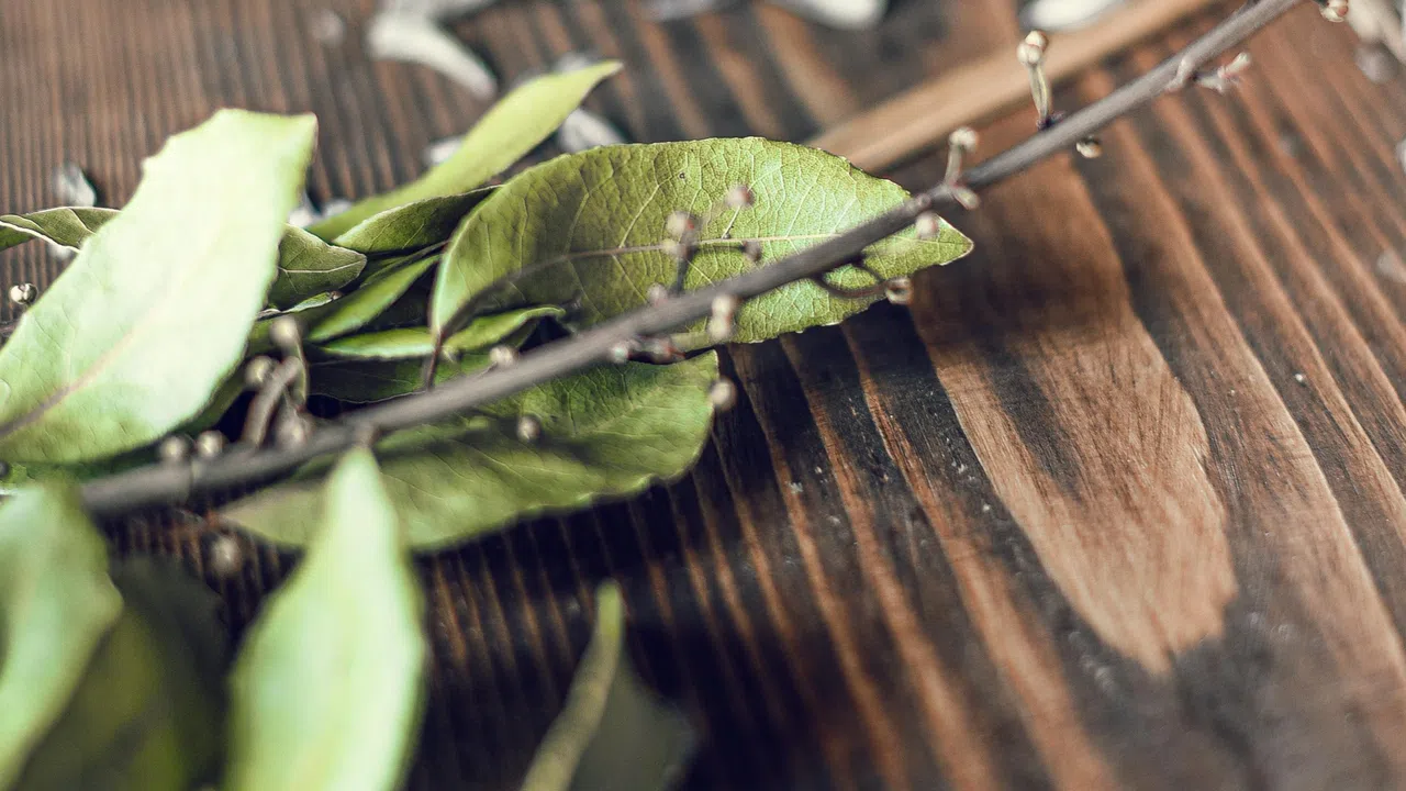 Парите са енергия която циркулира във Вселената и за да