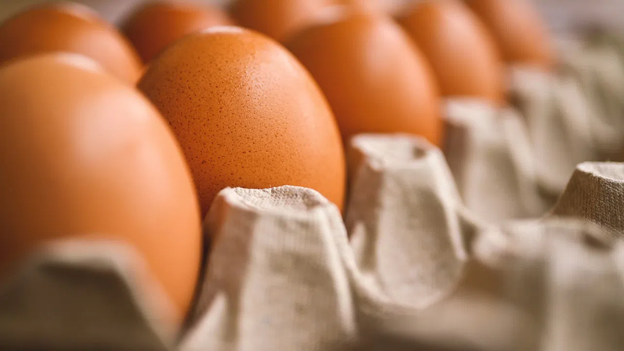 Всички знаем че Великден е празник в който на първо