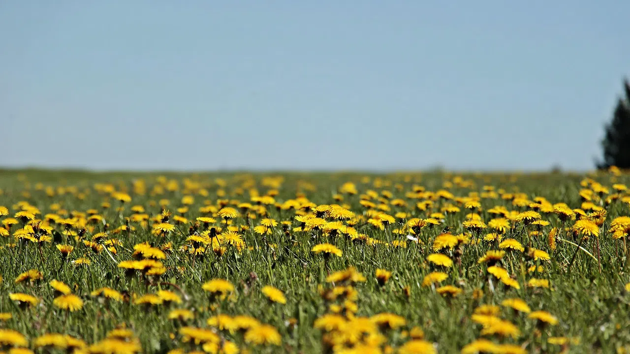 Пролетта е време за събуждане – не само за природата