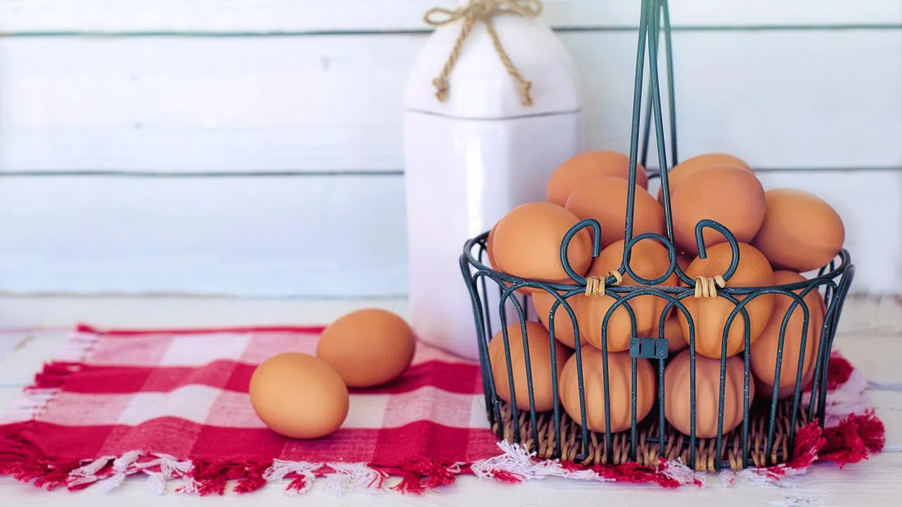 За да сте сигурни че избирате пресни качествени яйца от