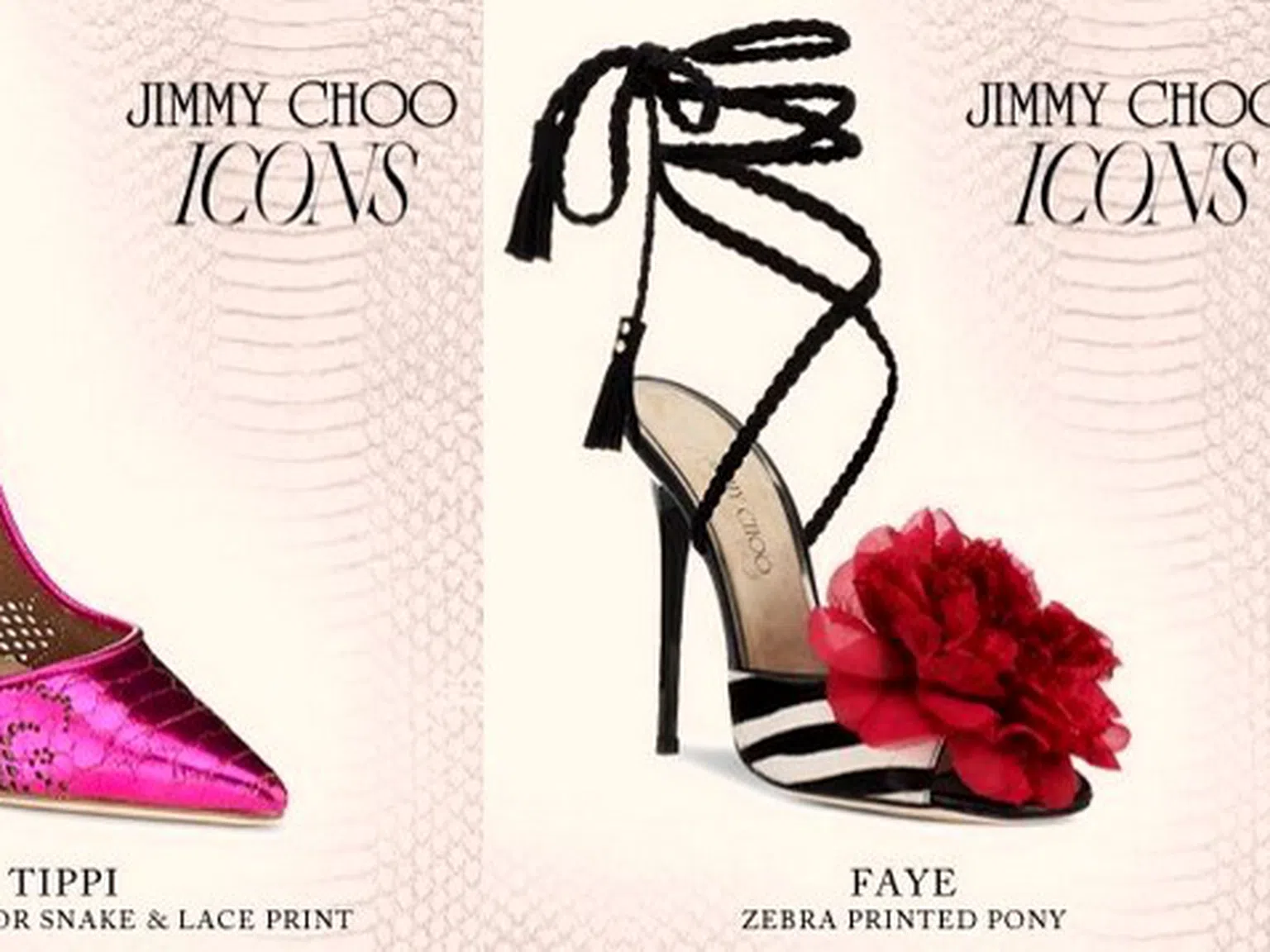 15 години Jimmy Choo