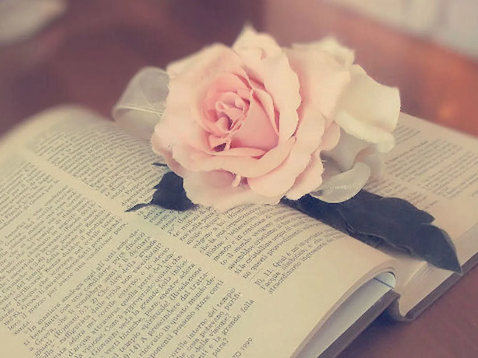 Първа “Алея на книгата” в София