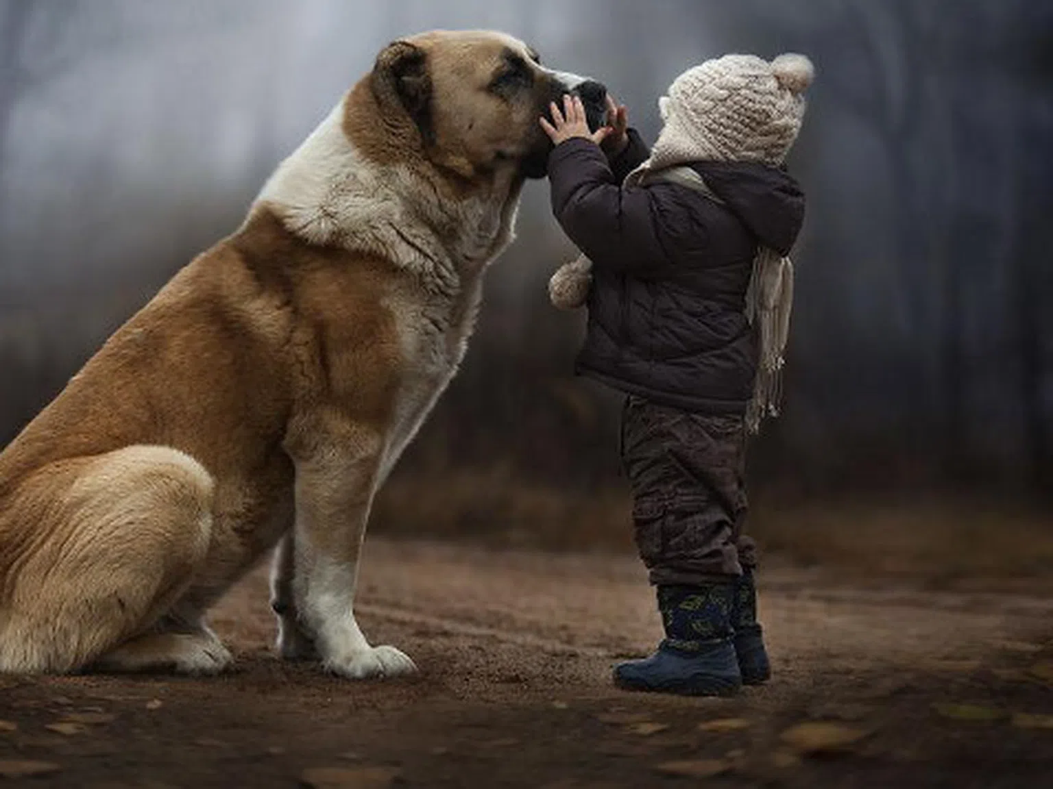 Фотографии, които ни зашеметиха...