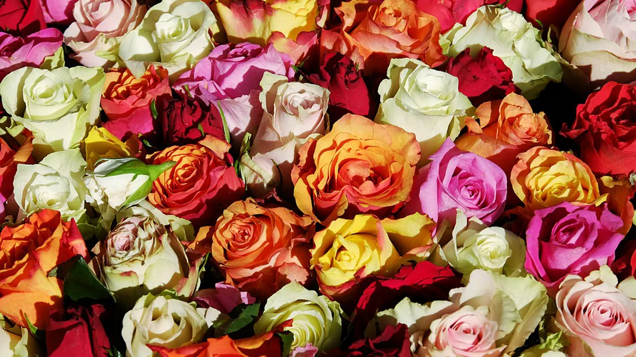 Първи май се чества като Ден на труда и е