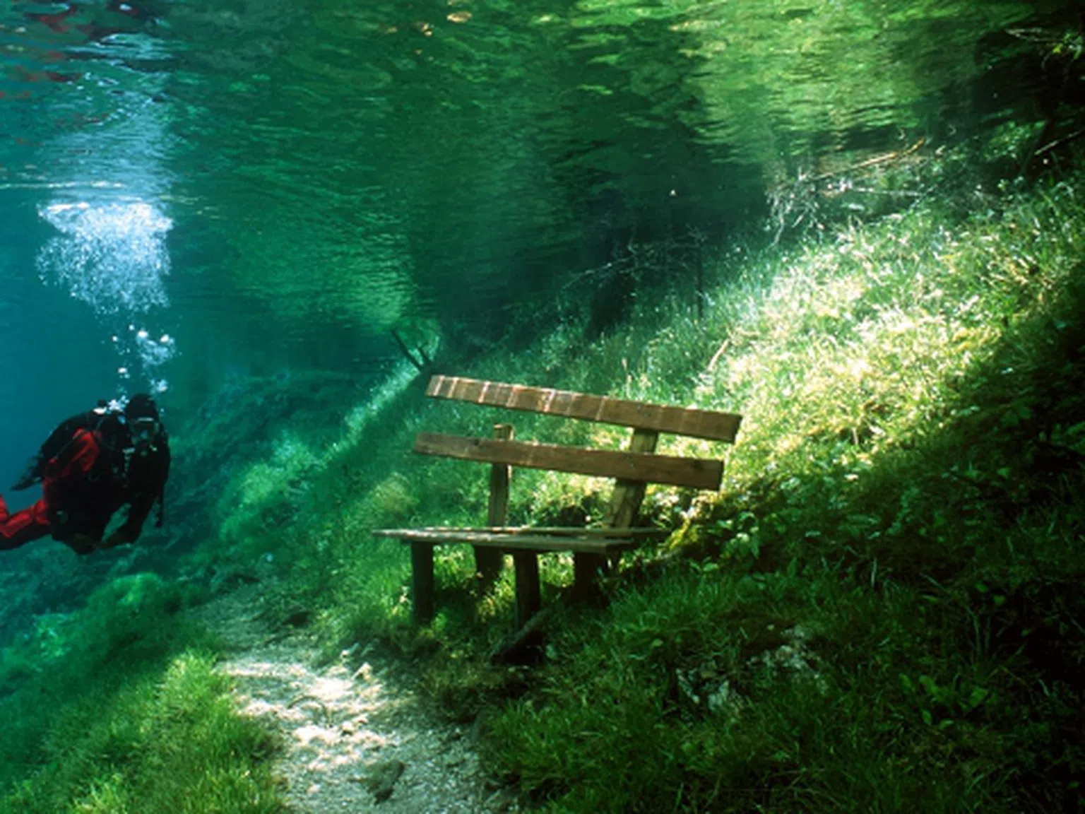Зеленото езеро... Трева, дървета и пейки под вода