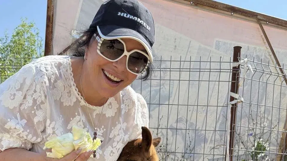 Кичка с две от патетата