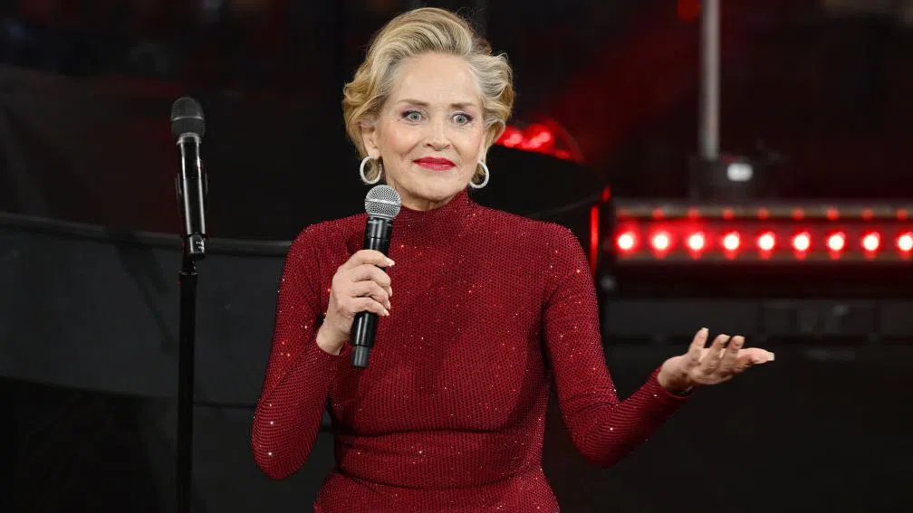 Шарън Стоун е категорична, че „Първичен инстинкт“ я е  прославил, но не й е донесъл респект. Снимка: Getty Images