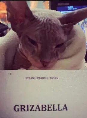 pr