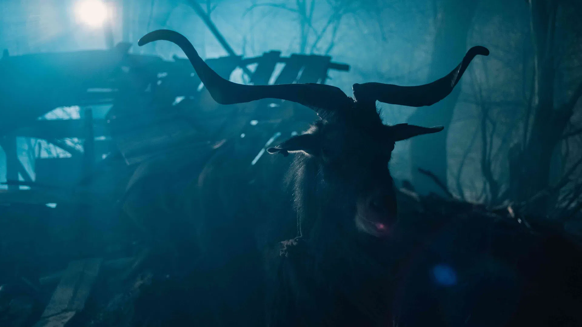 "Мамник" ще се излъчи по БНТ