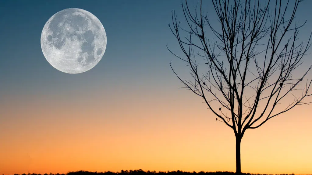 На 13 април 2025 г в 03 22 ч ще станем