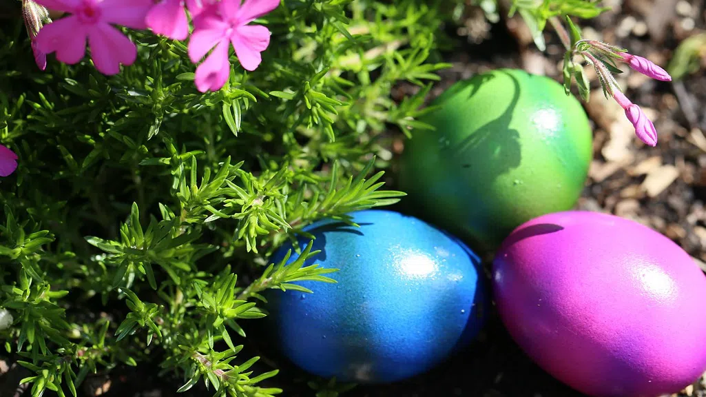 От прости и традиционни до цветни и странни открийте какъв