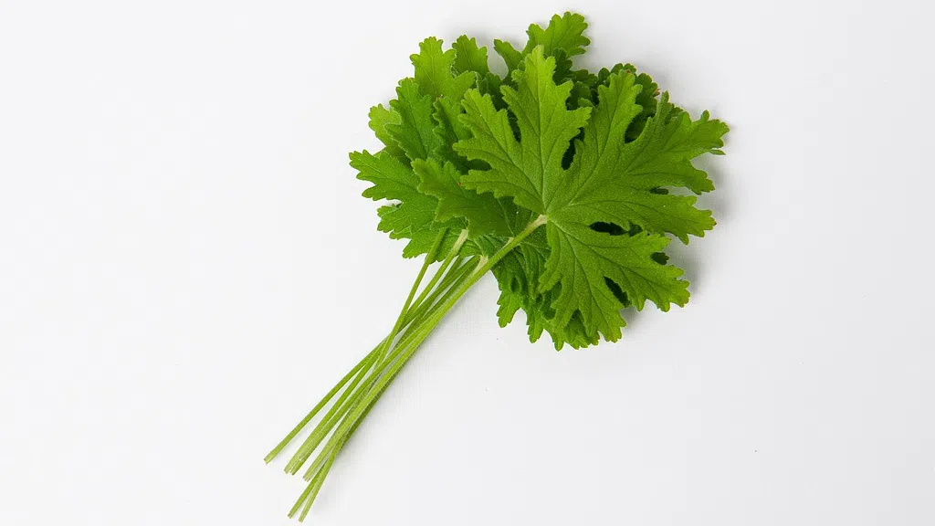 Днес е Велика сряда третият ден от Страстната седмица